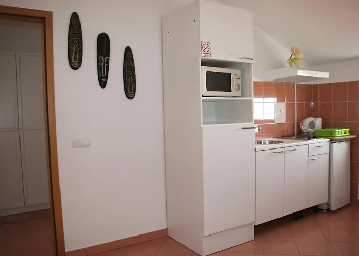 Apartment Gavric *